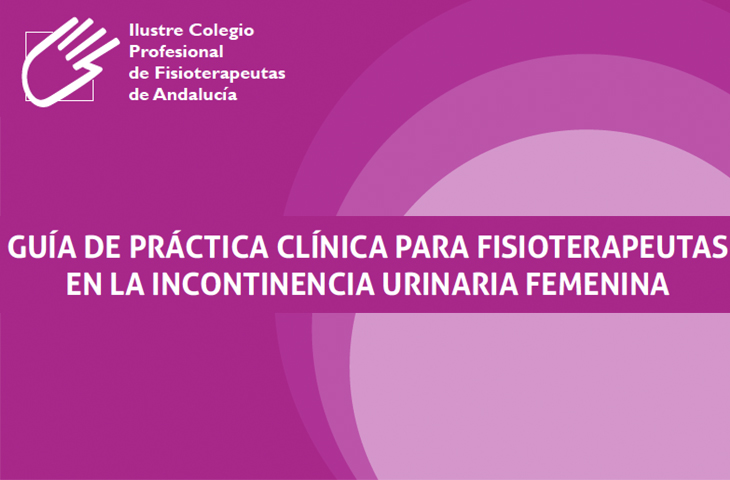 Imagen de portada del libro Guía de práctica clínica para fisioterapeutas en la incontinencia urinaria femenina