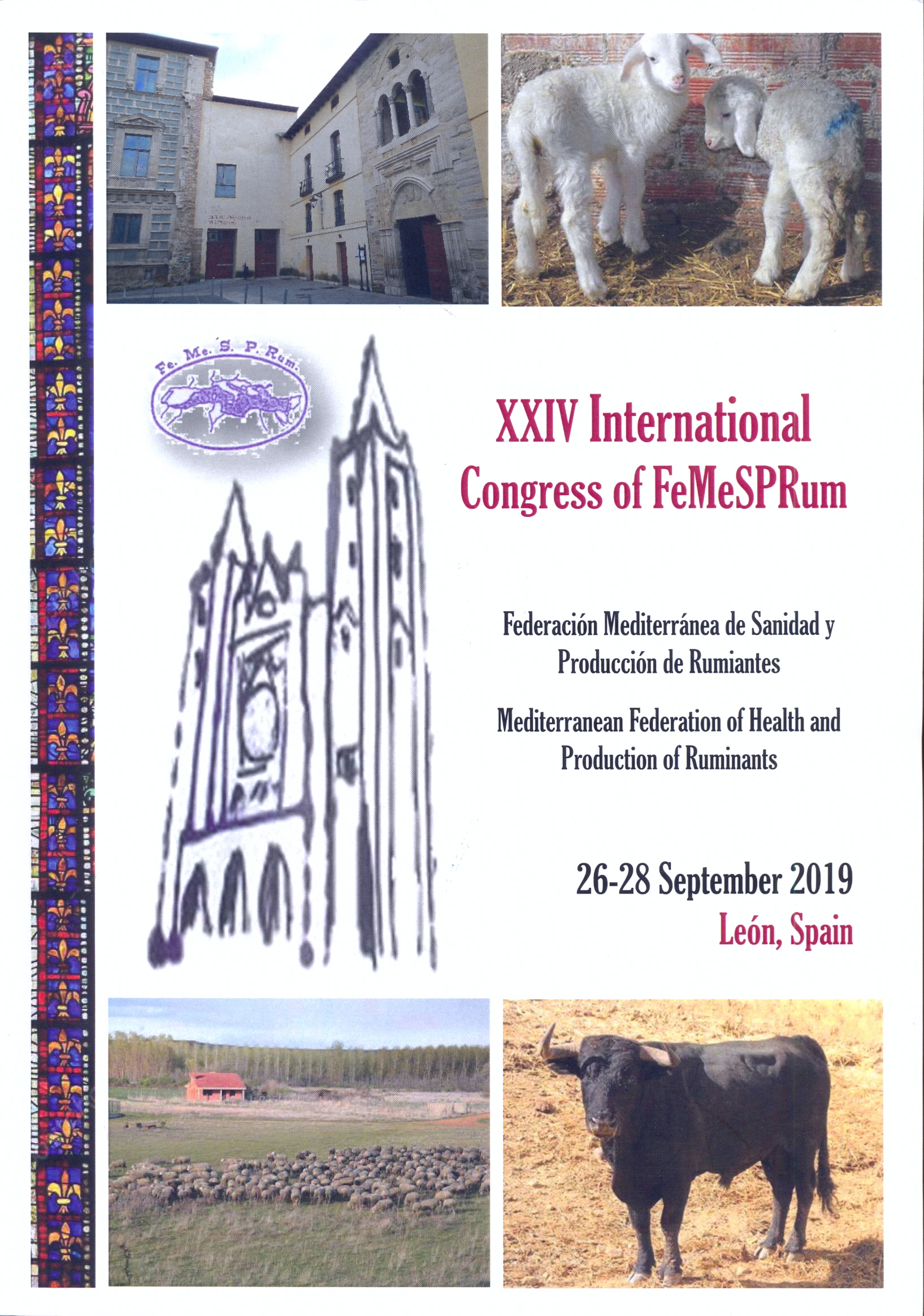 Imagen de portada del libro Actas del XXIV Congreso Internacional de la Federación Mediterránea de Sanidad y Producción de Rumiantes (FeMeSPRum)