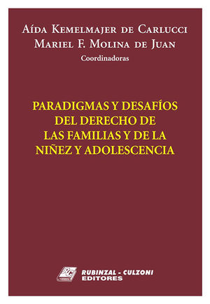 Imagen de portada del libro Paradigmas y desafíos del derecho de las familias, niñez y adolescencia