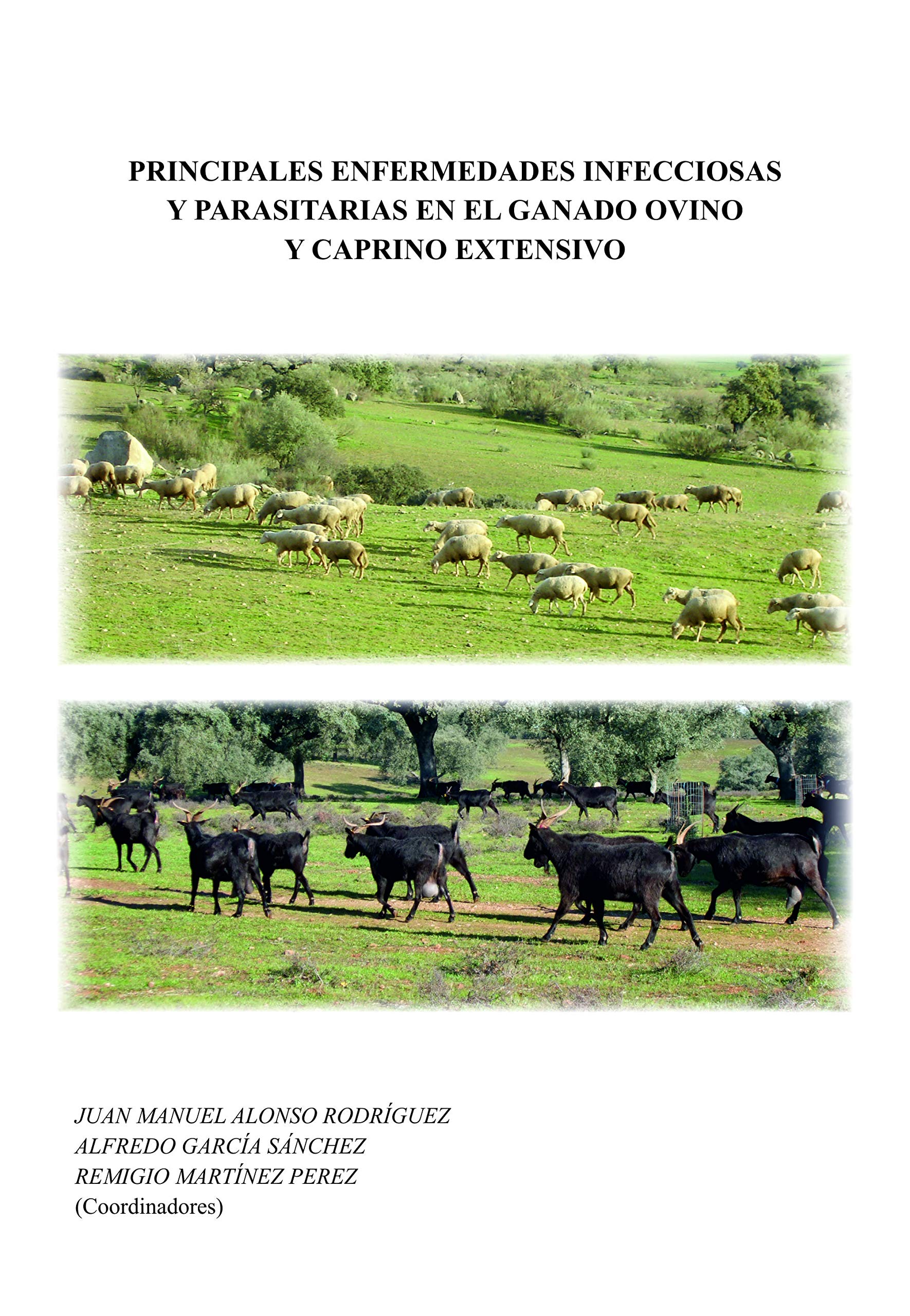 Imagen de portada del libro Principales enfermedades infecciosas y parasitarias en el ganado ovino y caprino extensivo