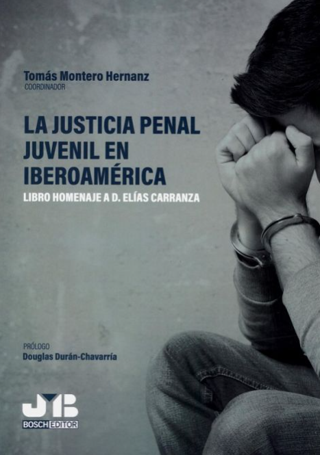 Imagen de portada del libro La justicia penal juvenil en Iberoamérica