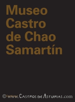 Imagen de portada del libro Museo Castro de Chao Samartín. Catálogo