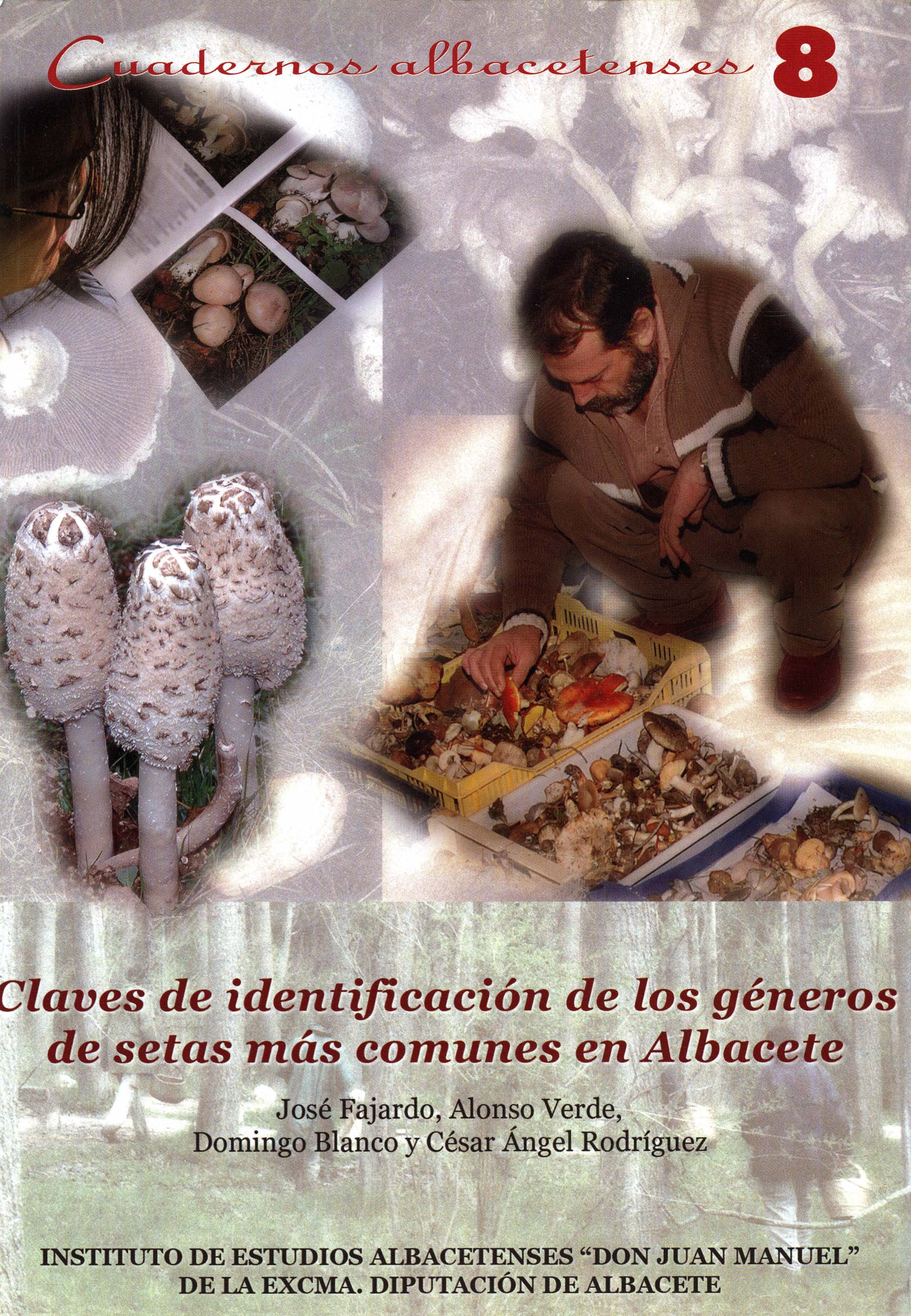 Imagen de portada del libro Claves de identificación de los géneros de setas más comunes en Albacete