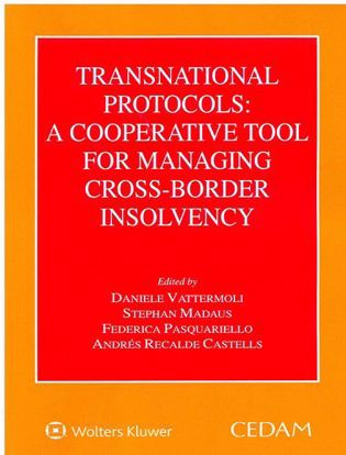 Imagen de portada del libro Transnational protocols