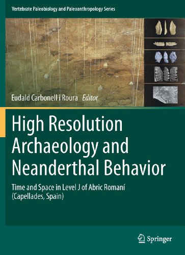 Imagen de portada del libro High resolution archaeology and neanderthal behavior