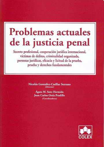 Imagen de portada del libro Problemas Actuales de la Justicia Penal
