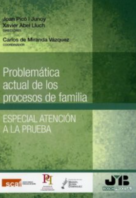 Imagen de portada del libro Problemática actual de los procesos de familia