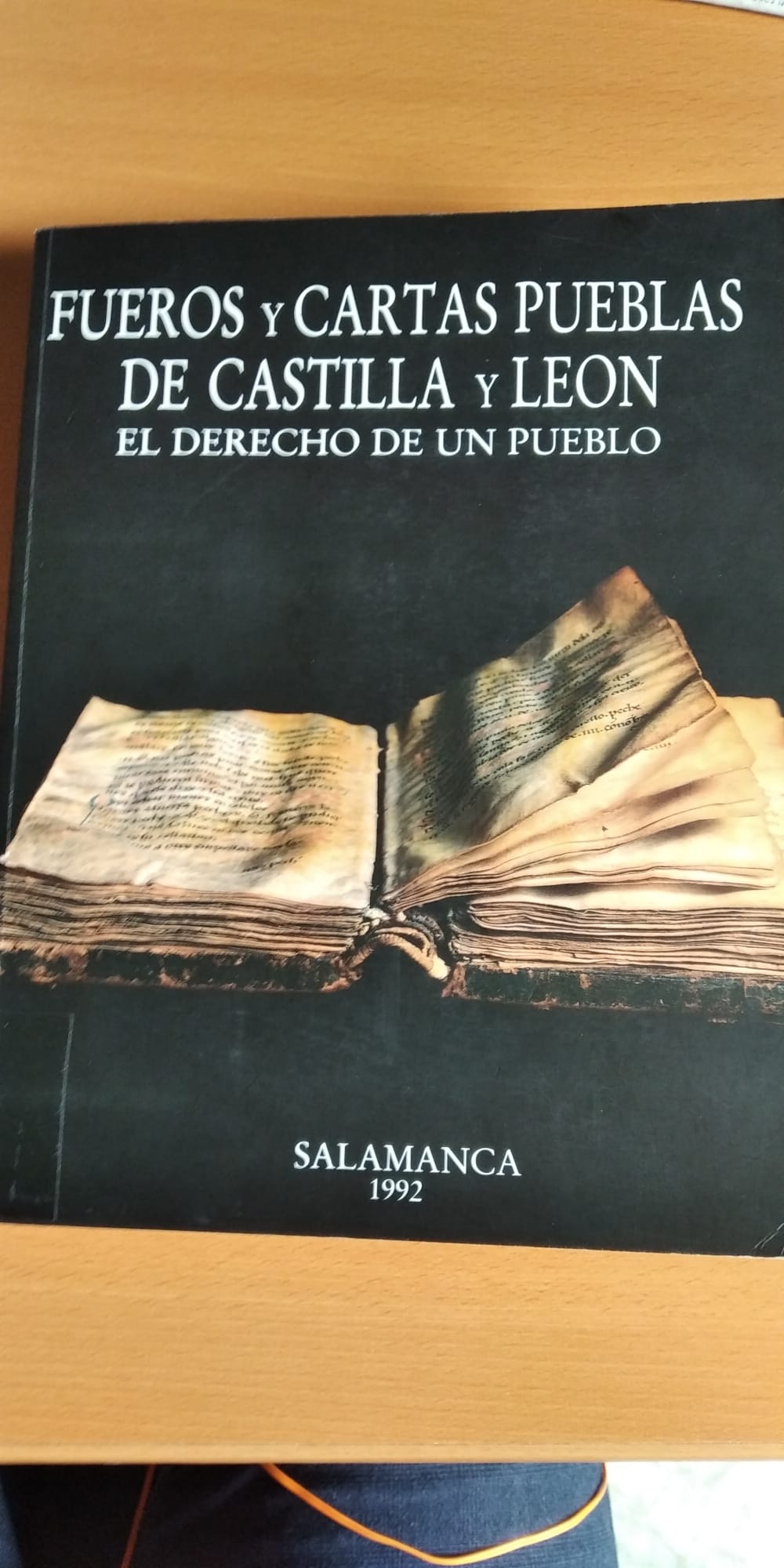 Imagen de portada del libro Fueros y cartas pueblas de Castilla y León