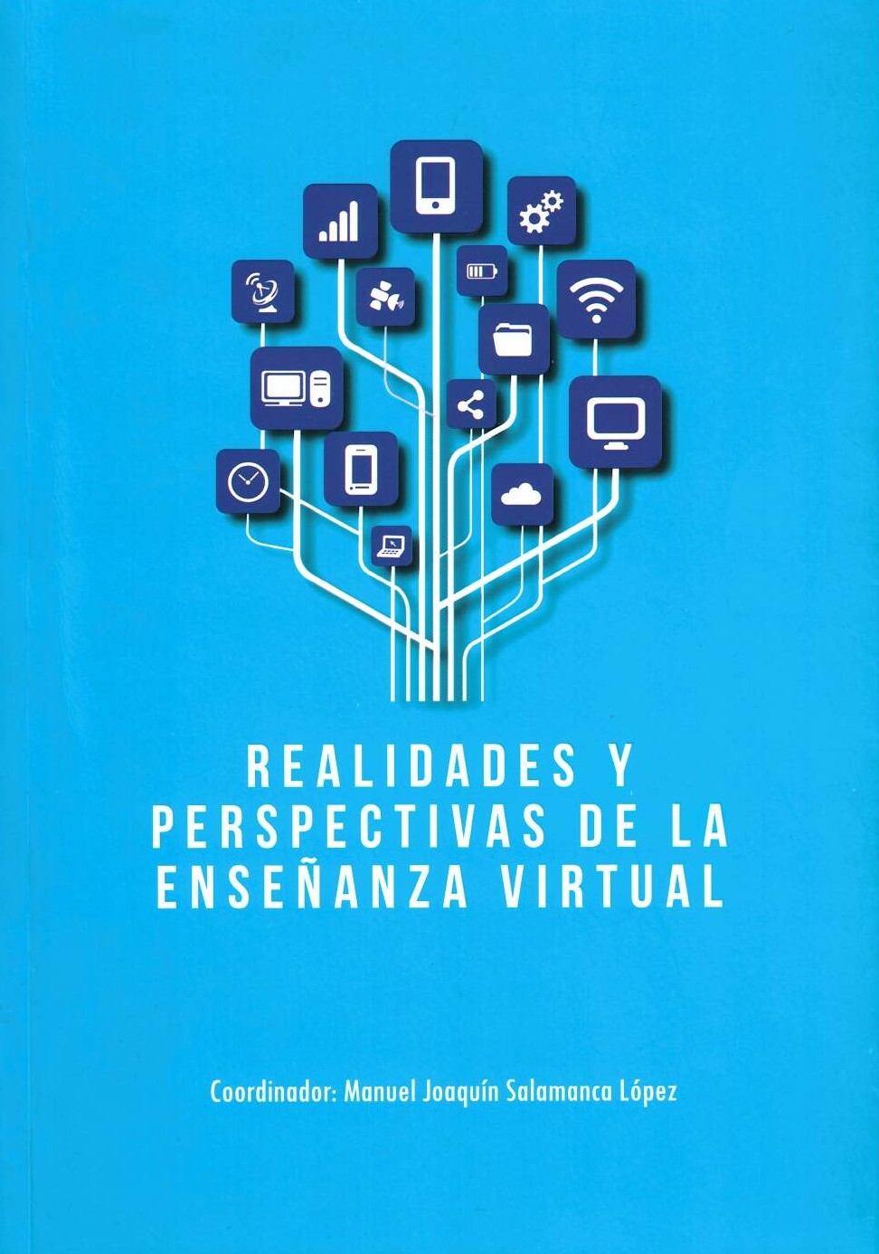 Imagen de portada del libro Realidades y perspectivas de la enseñanza virtual