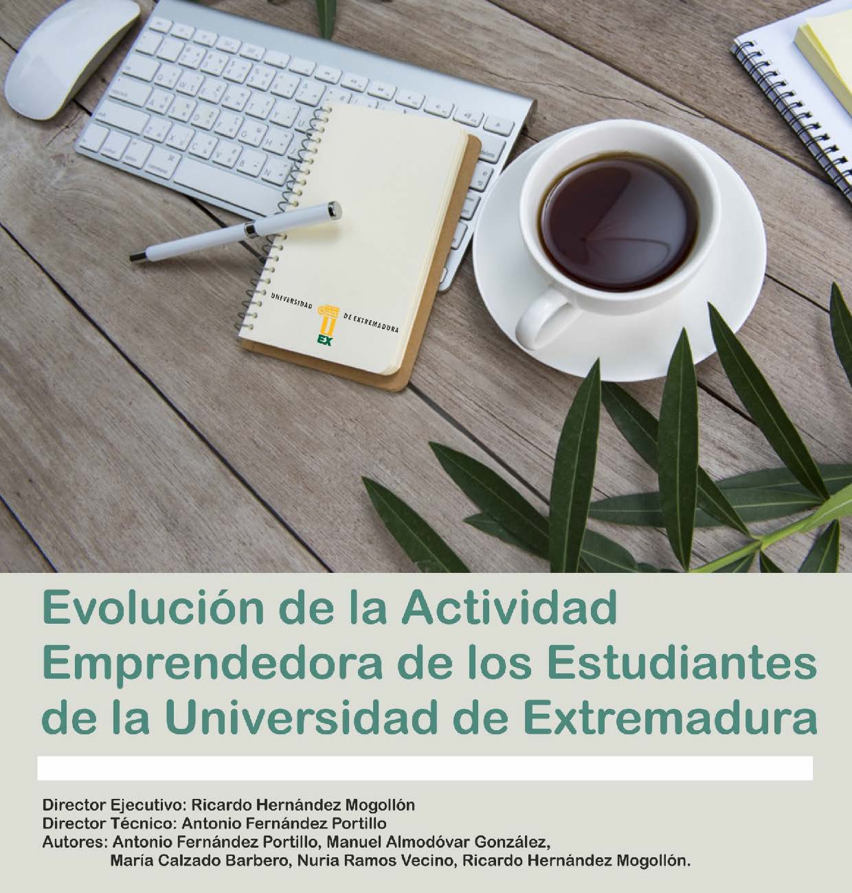 Imagen de portada del libro Evolución de la Actividad Emprendedora de los Estudiantes de la Universidad de Extremadura GUESSS 2018
