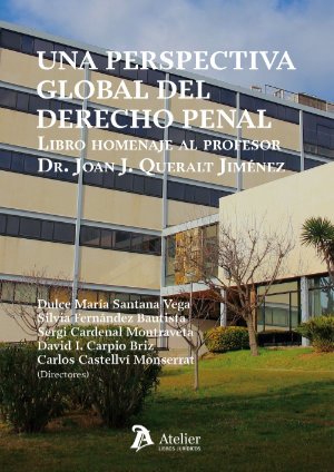 Imagen de portada del libro Una perspectiva global del Derecho Penal
