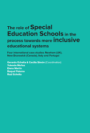 Imagen de portada del libro The role of special education schools in the process towards more inclusive educational systems