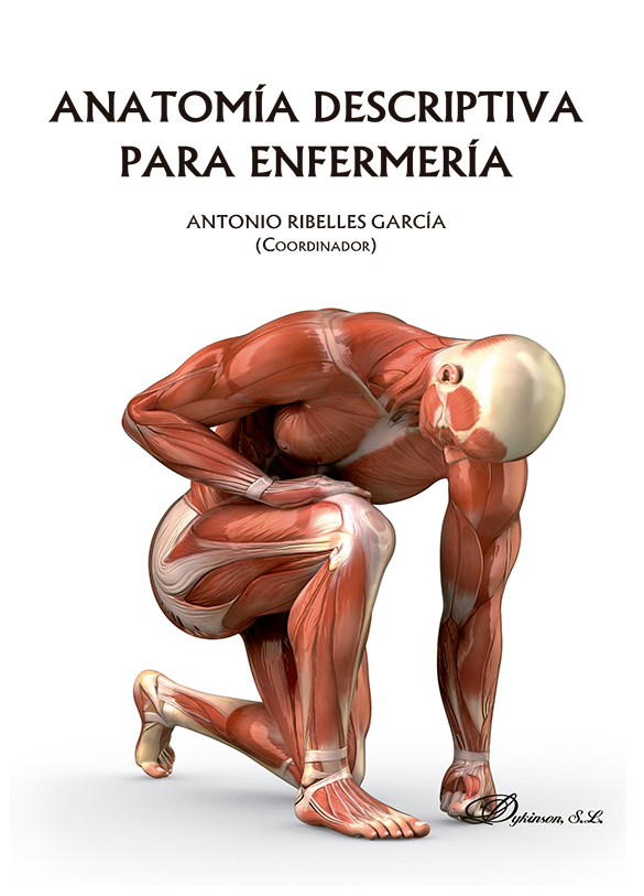 Imagen de portada del libro Anatomía descriptiva para enfermería