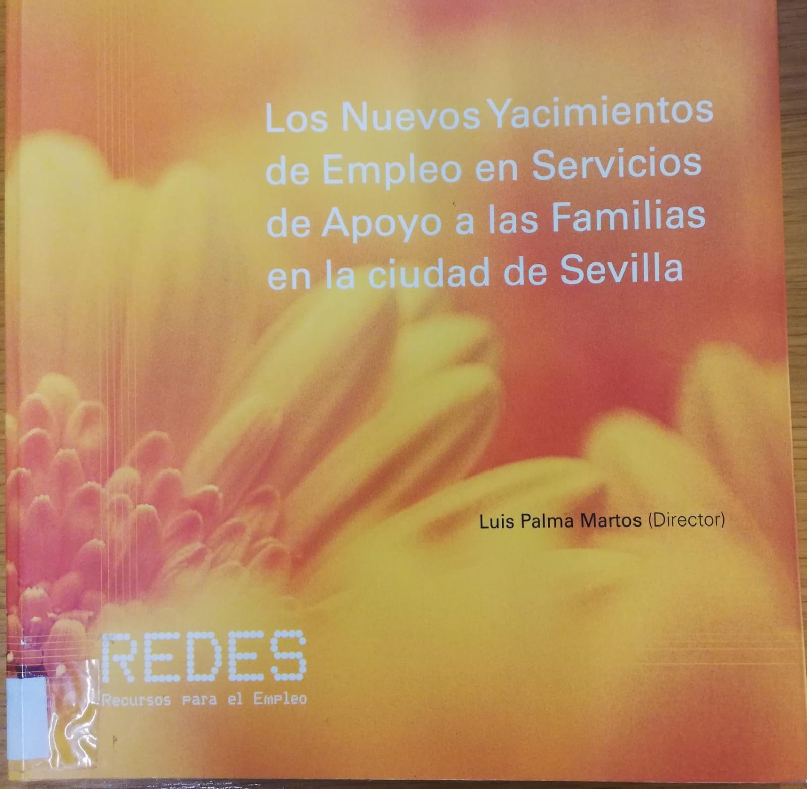 Imagen de portada del libro Los nuevos yacimientos de empleo en servicios de apoyo a las familias en la ciudad de Sevilla