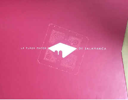 Imagen de portada del libro La Plaza Mayor de Salamanca