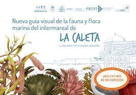 Imagen de portada del libro Nueva guía visual de la fauna y flora marina del intermareal de La Caleta y roquedos intermareales asociados
