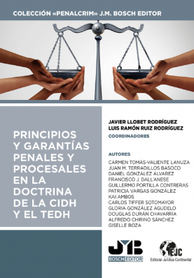 Imagen de portada del libro Principios y garantías penales y procesales en la doctrina de la CIDH y el TEDH