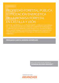 Imagen de portada del libro Propiedad forestal pública y utilización energética de la biomasa forestal en Castilla y León