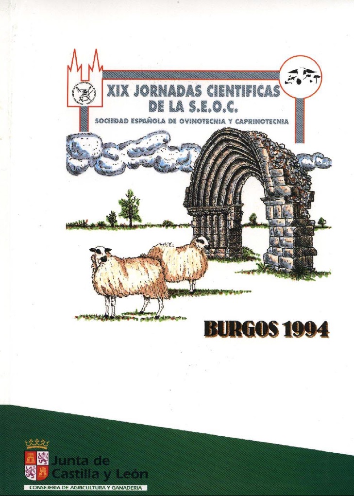Imagen de portada del libro XIX Jornadas Científicas de la S.E.O.C.