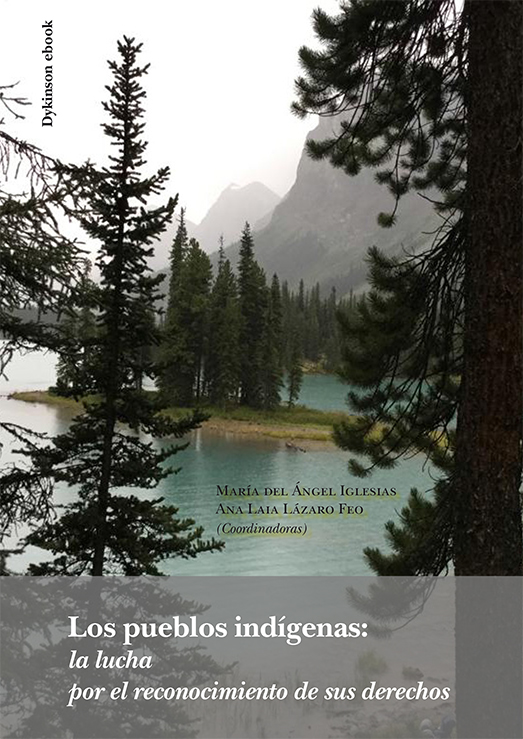 Imagen de portada del libro Los pueblos indígenas