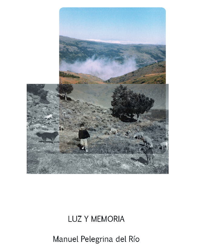 Imagen de portada del libro Luz y memoria