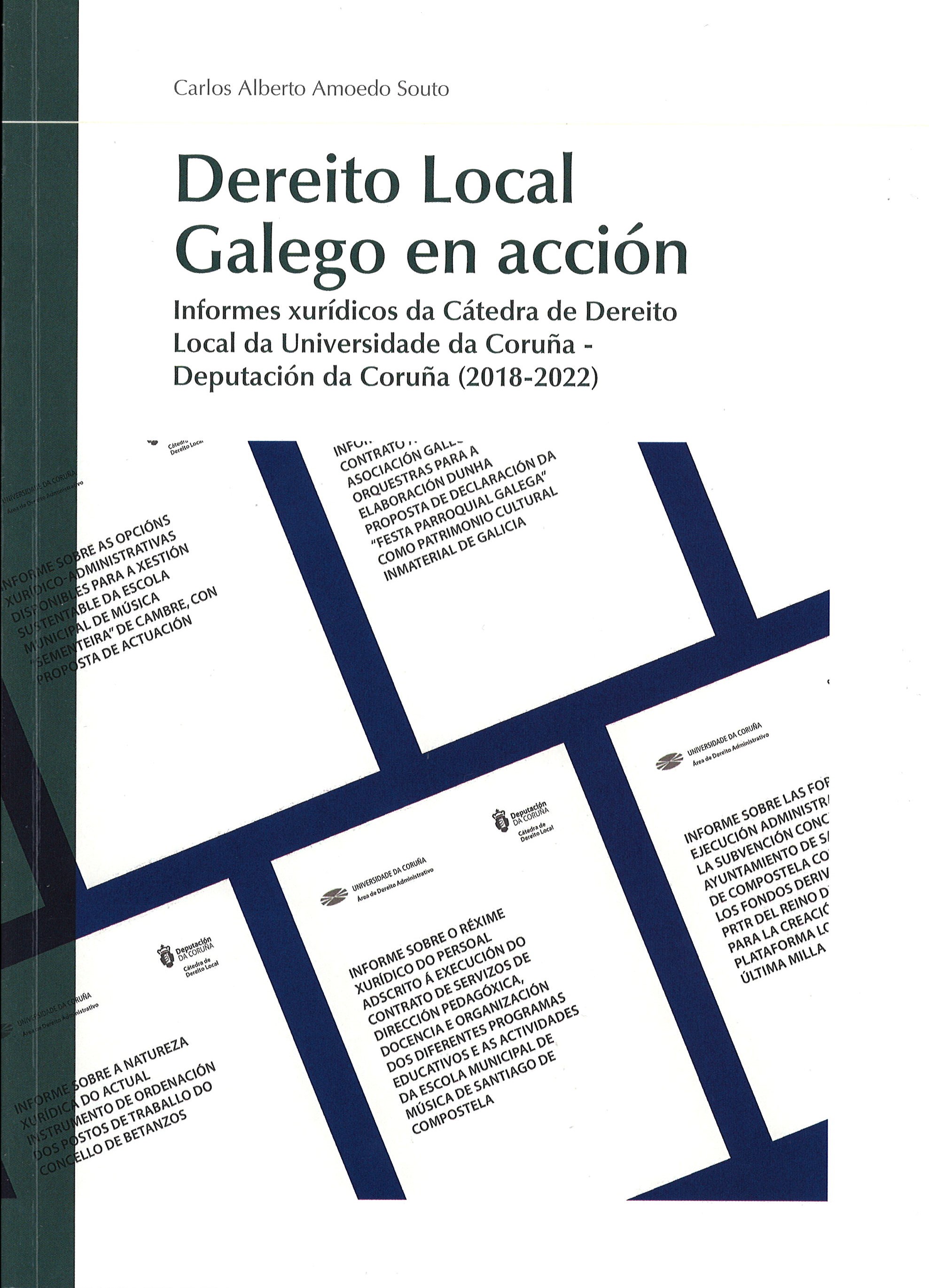 Imagen de portada del libro Dereito local galego en acción