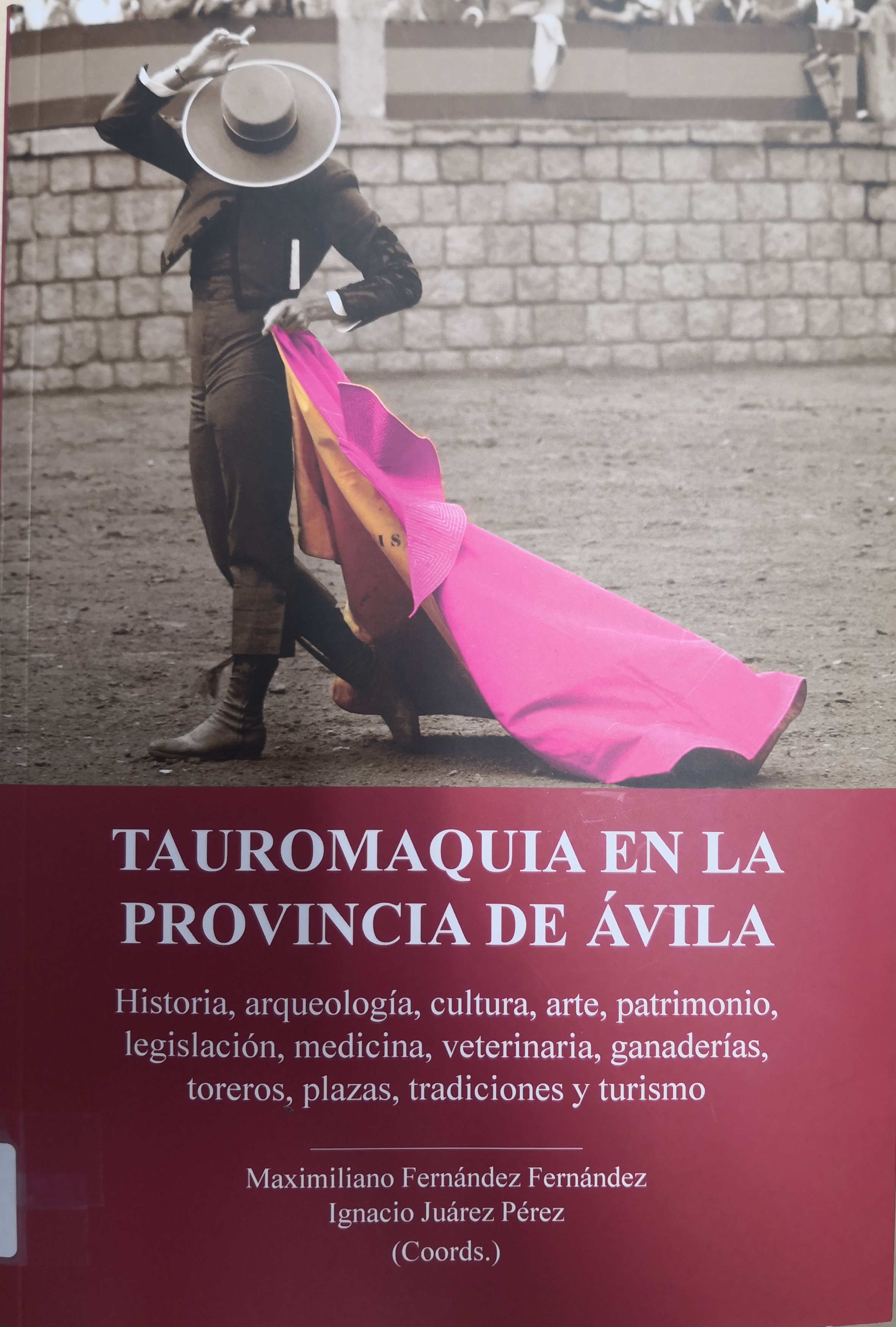 Imagen de portada del libro Tauromaquia en la provincia de Ávila