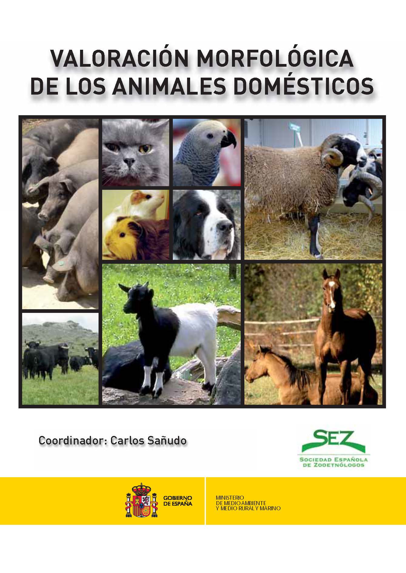 Imagen de portada del libro Valoración morfológica de los animales domésticos
