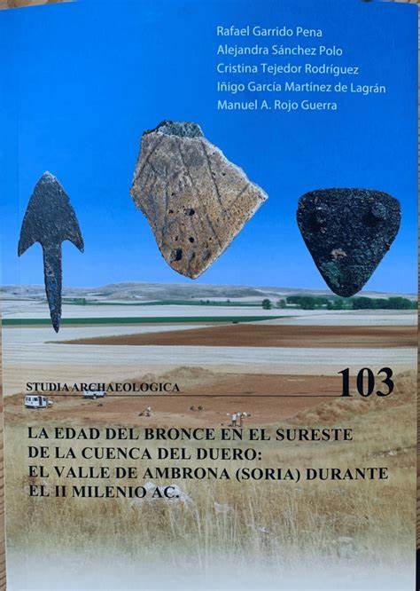 Imagen de portada del libro La Edad del Bronce en el sureste de la cuenca del Duero