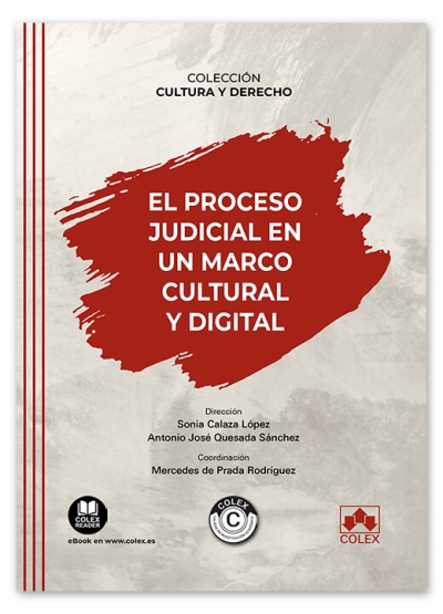 Imagen de portada del libro El proceso judicial en un marco cultural y digital