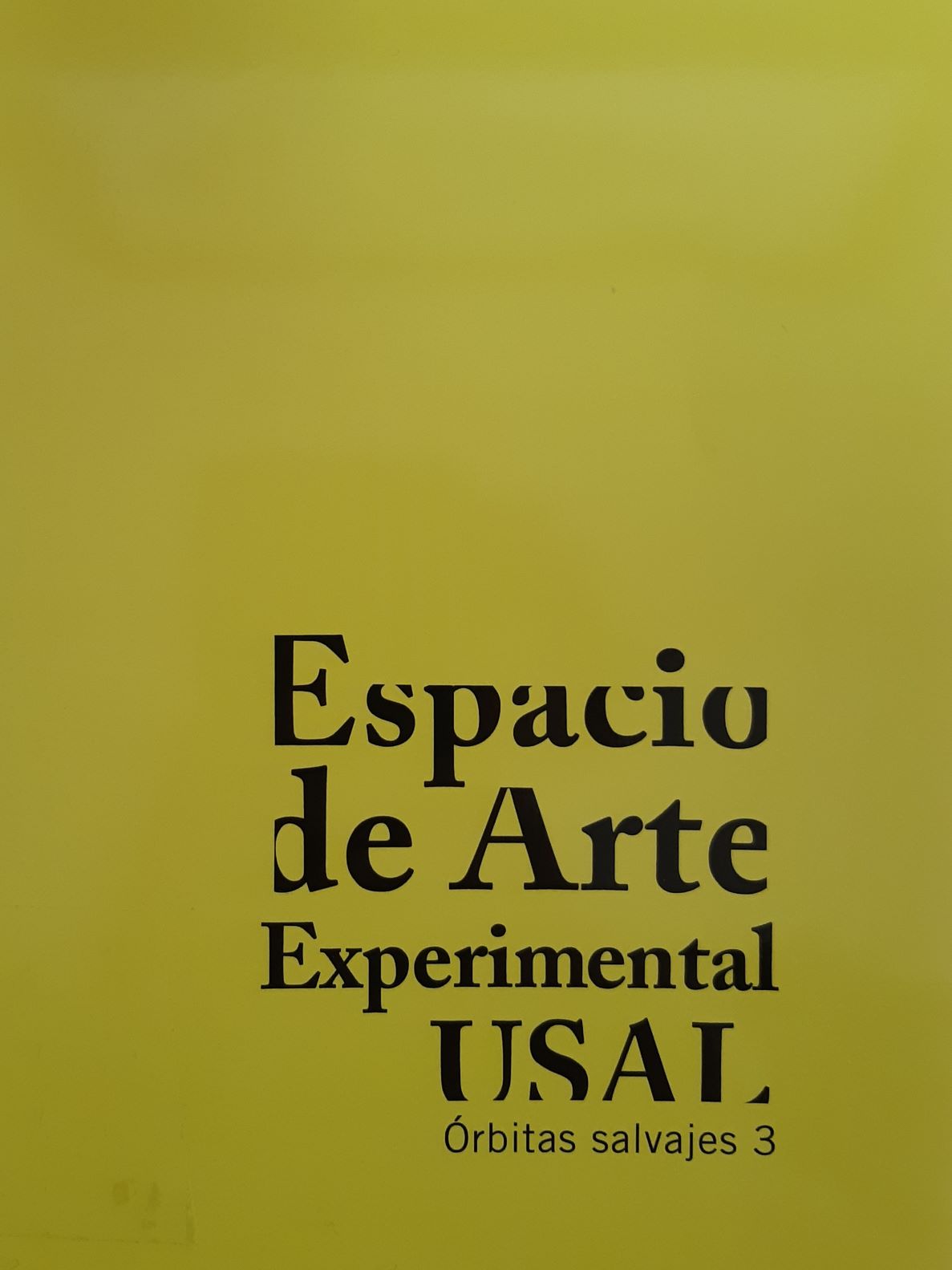 Imagen de portada del libro Espacio de Arte Experimental USAL
