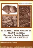Imagen de portada del libro El Cámbrico entre Viniegra de Abajo y Mansilla (Sierra de la Demanda, Logroño)