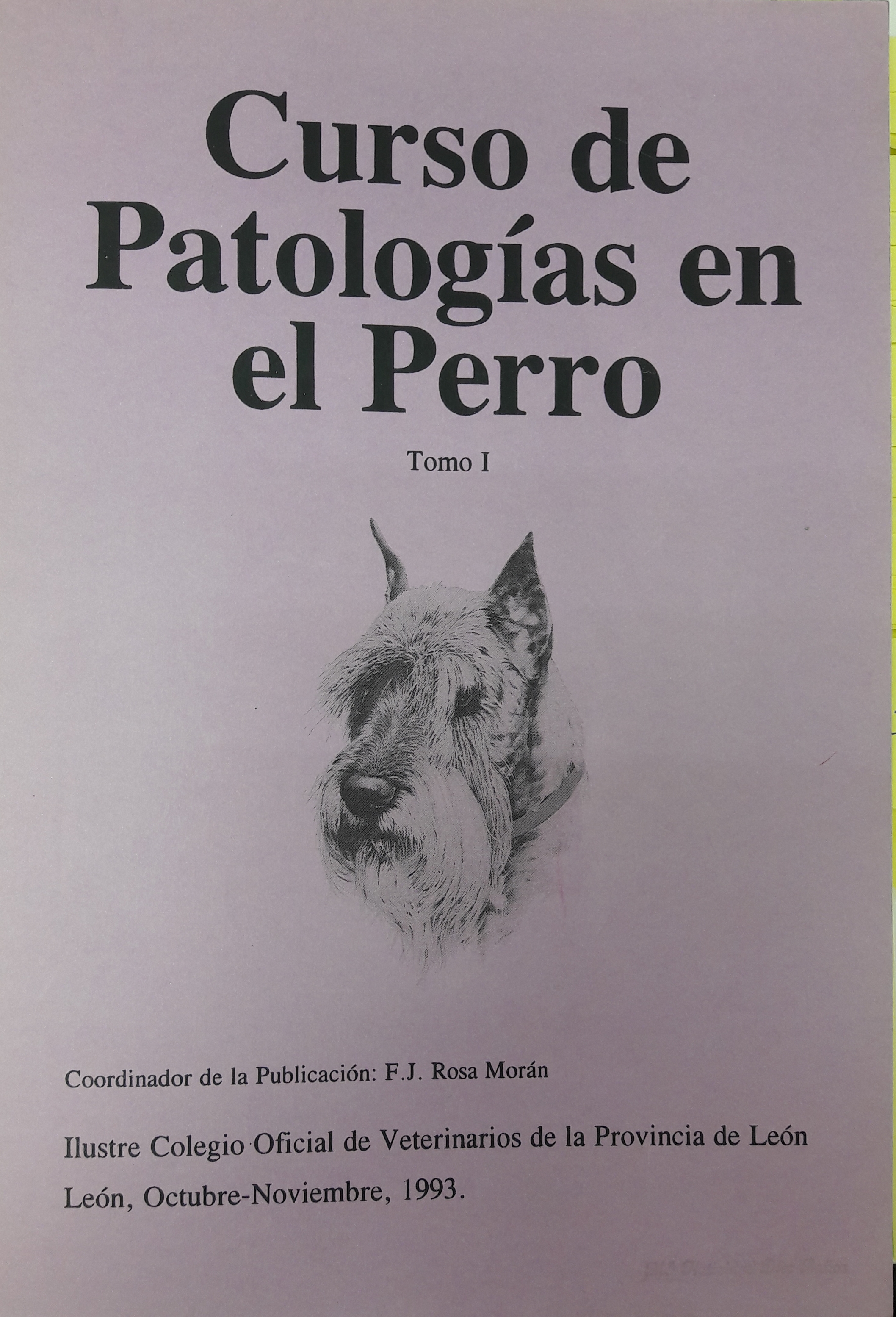 Imagen de portada del libro Curso de patologías en el perro