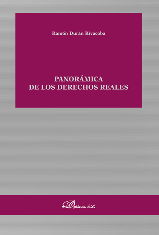 Imagen de portada del libro Panorámica de los derechos reales