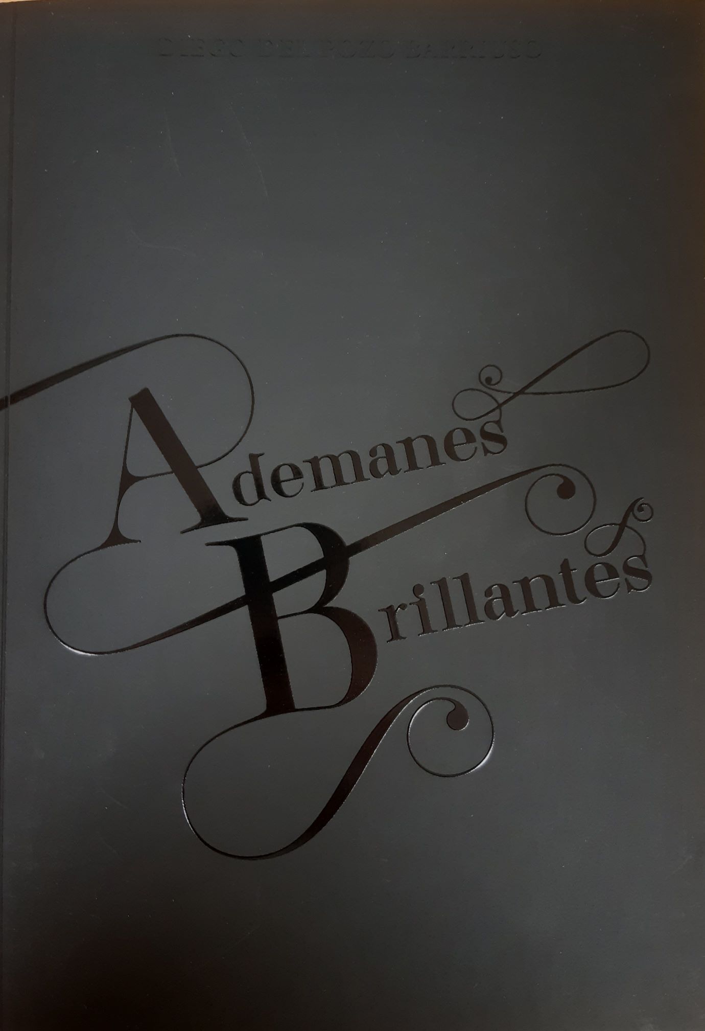 Imagen de portada del libro Ademanes brillantes
