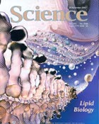 Imagen de portada de la revista Science