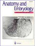 Imagen de portada de la revista Anatomy and embryology