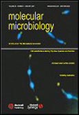 Imagen de portada de la revista Molecular Microbiology