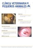 Imagen de portada de la revista Clínica veterinaria de pequeños animales