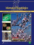 Imagen de portada de la revista Informatore fitopatologico