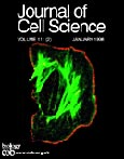 Imagen de portada de la revista Journal of cell science