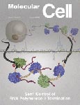 Imagen de portada de la revista Molecular cell